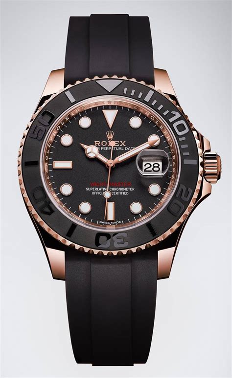 rolex yacht master gold bezel|rolex yacht master price.